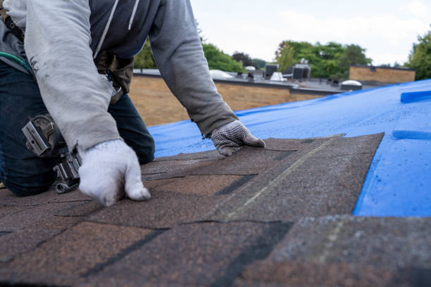 Best Emergency Roof Repair  in Parksdale, CA